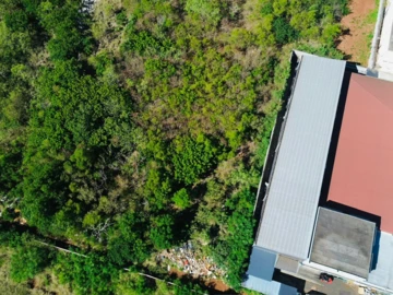 Commercial Land