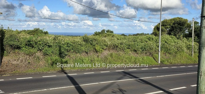 Terres agricoles de premier choix à vendre – Route principale de La Flora (Mandat exclusif)