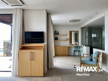 3 Bedroom Penthouse