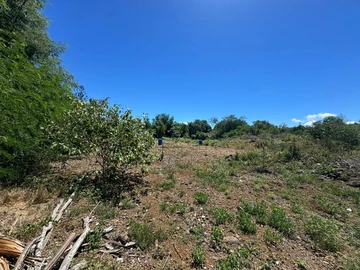 Terrain Résidentiel