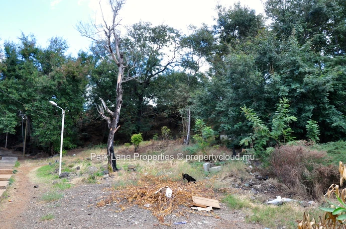 Batiment Commercial avec caractère sur la Route Royale (Mandat exclusif)