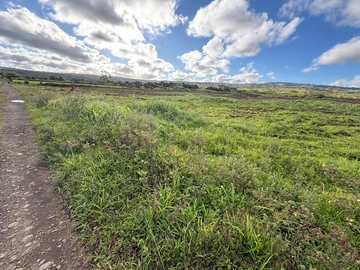 Agricultural Land