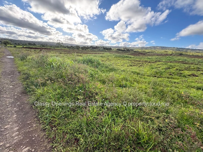 12,268 m² Cultivable Land with Mountain View & Greenhouses