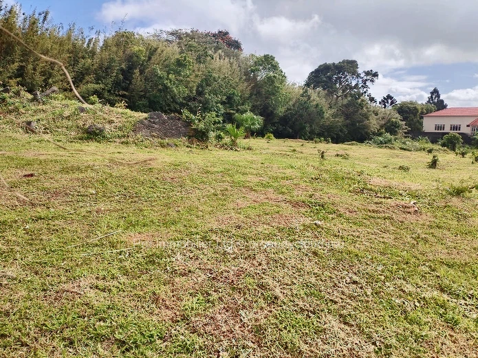 Rare Opportunity: Spacious 4,239m² Land for Sale, Ideal for Property Developers .Floreal.