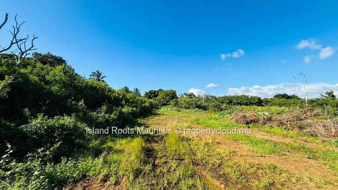 Terrain a vendre - Grand Baie