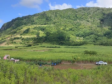 Agricultural Land