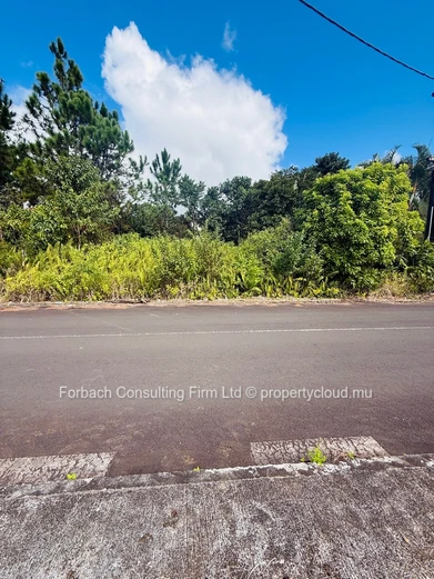 Prime Residential Plot in Morcellement - Les Résidences Pinewood Garden, Wooton