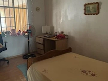Immobilier Commerciaux