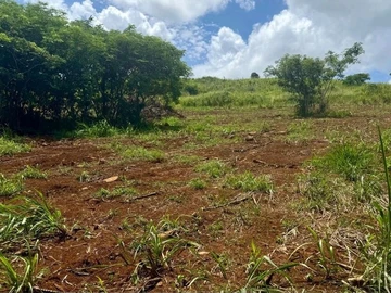 Terrain Agricole