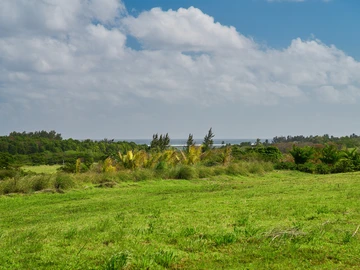 Residential Land