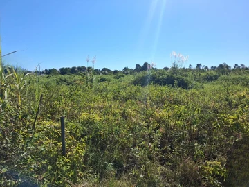 Agricultural Land