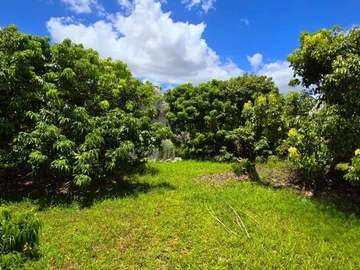 Terrain Agricole