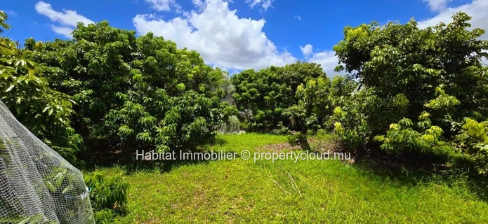 Ce terrain agricole clôturé de 1 arpent 17 situé à La Flora est un véritable joyau