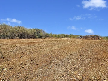 Terrain