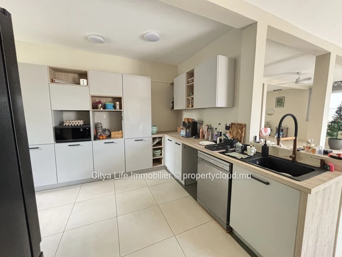 House for Sale Black River