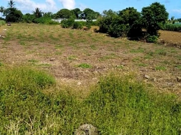Agricultural Land