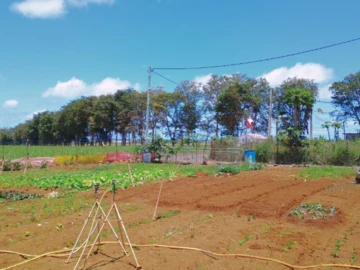Residential Land