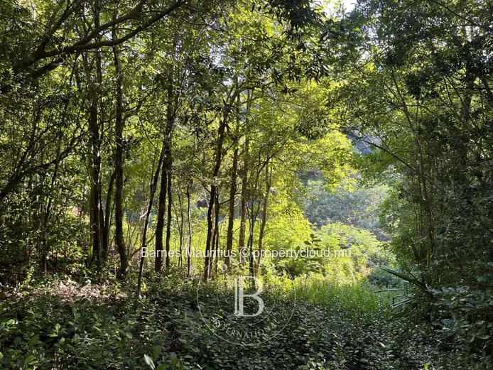 CHAMAREL - Terrain agricole - 10 276 m²