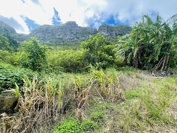 Terrain Agricole avec Vue Imprenable sur les Montagnes – Une Opportunité d'Investissement interessant