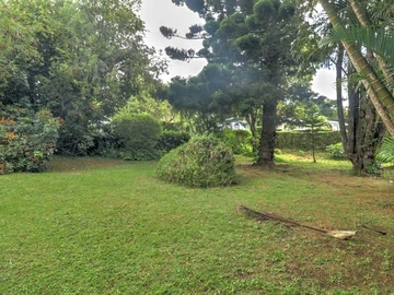 6 Bedroom House