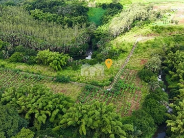 Agricultural Land