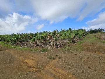 Agricultural Land