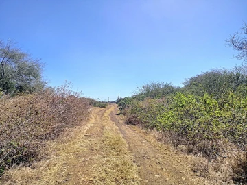 Terrain