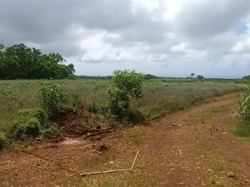 Agricultural Land