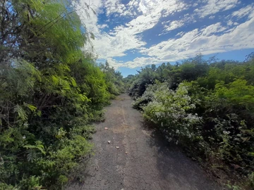 Residential Land