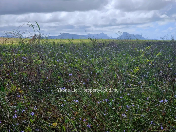 Terrain Agricole En Vente À Plein Bois