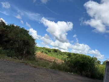 Commercial Land