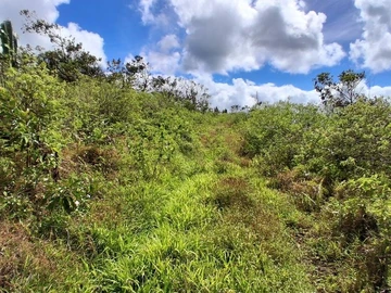 Terrain Agricole