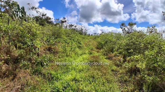 A vast plot of land, thousands of possibilities — 36,332 m² in L'Espérance