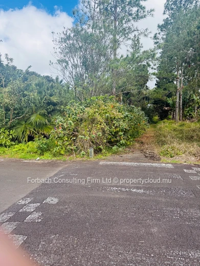 Prime Residential Plot in Morcellement - Les Résidences Pinewood Garden, Wooton