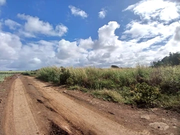 Terrain Agricole