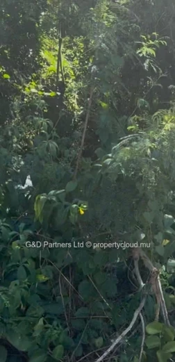 Land For Sale – Grand Gaube | 50 M From The Beach