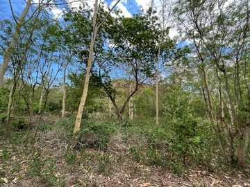 Commercial Land