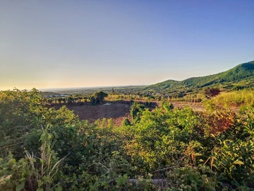 Land
