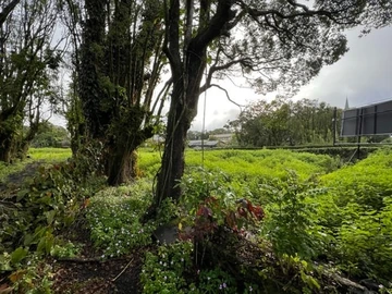 Residential Land