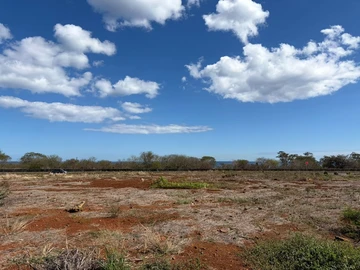 Residential Land