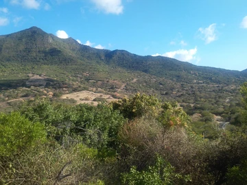 Terrain Résidentiel