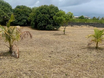 Land