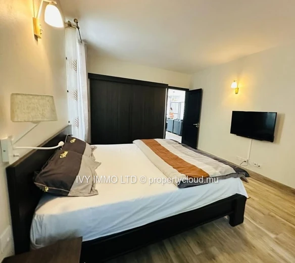 Appartement De Luxe À Louer – Pointe Aux Canonniers