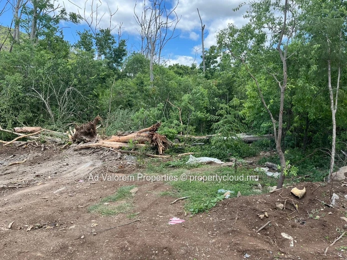 1,500m² Residential Land for Sale in Black River