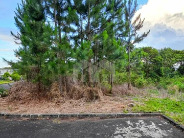 Residential Land