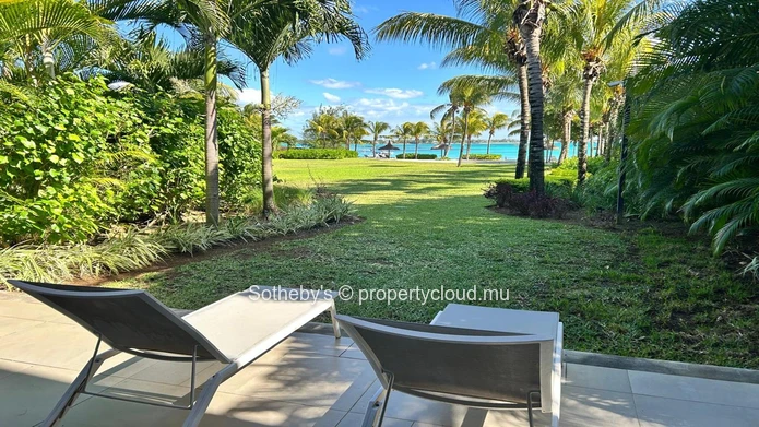 The Palmview