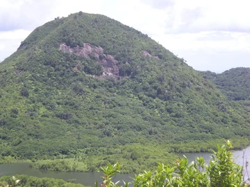 Terrain Commercial