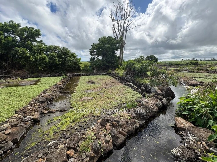 Terrain agricole de 30 perches bien entretenu et bien situé