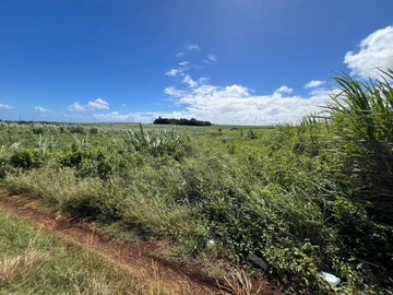 Agricultural Land