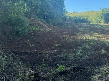 Residential Land